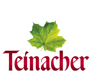 39. Stuttgarter Filmwinter – Festival for Expanded Media - Startseite