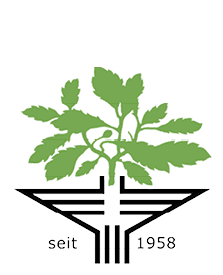 39. Stuttgarter Filmwinter – Festival for Expanded Media - Startseite