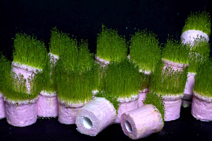 39. Stuttgarter Filmwinter – Festival for Expanded Media