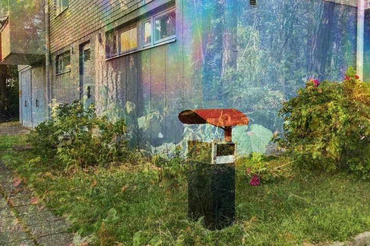 39. Stuttgarter Filmwinter – Festival for Expanded Media