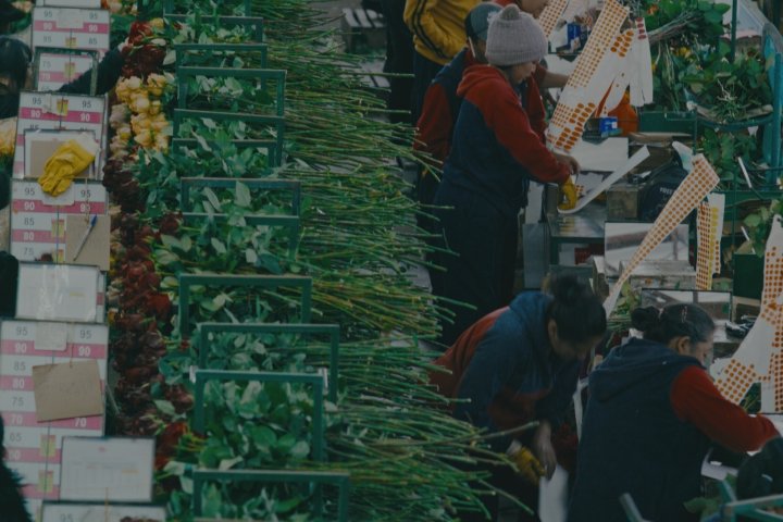 39. Stuttgarter Filmwinter – Festival for Expanded Media