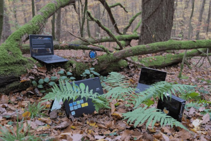 39. Stuttgarter Filmwinter – Festival for Expanded Media