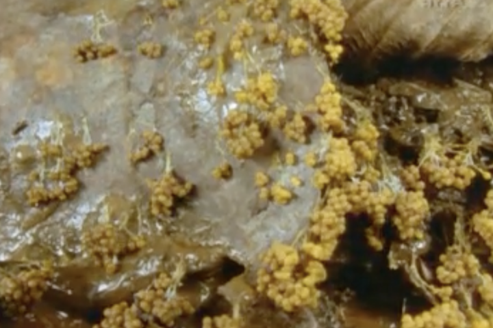 39. Stuttgarter Filmwinter – Festival for Expanded Media